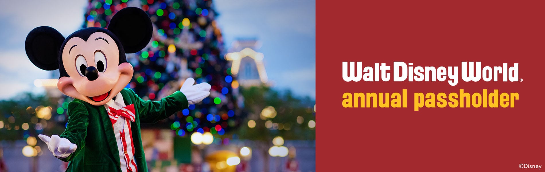 Disney Annual Passholder