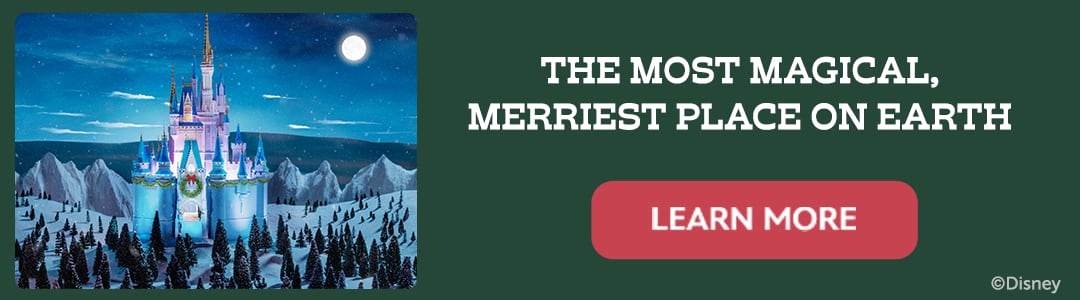 DISNEY MAGICAL PLACE